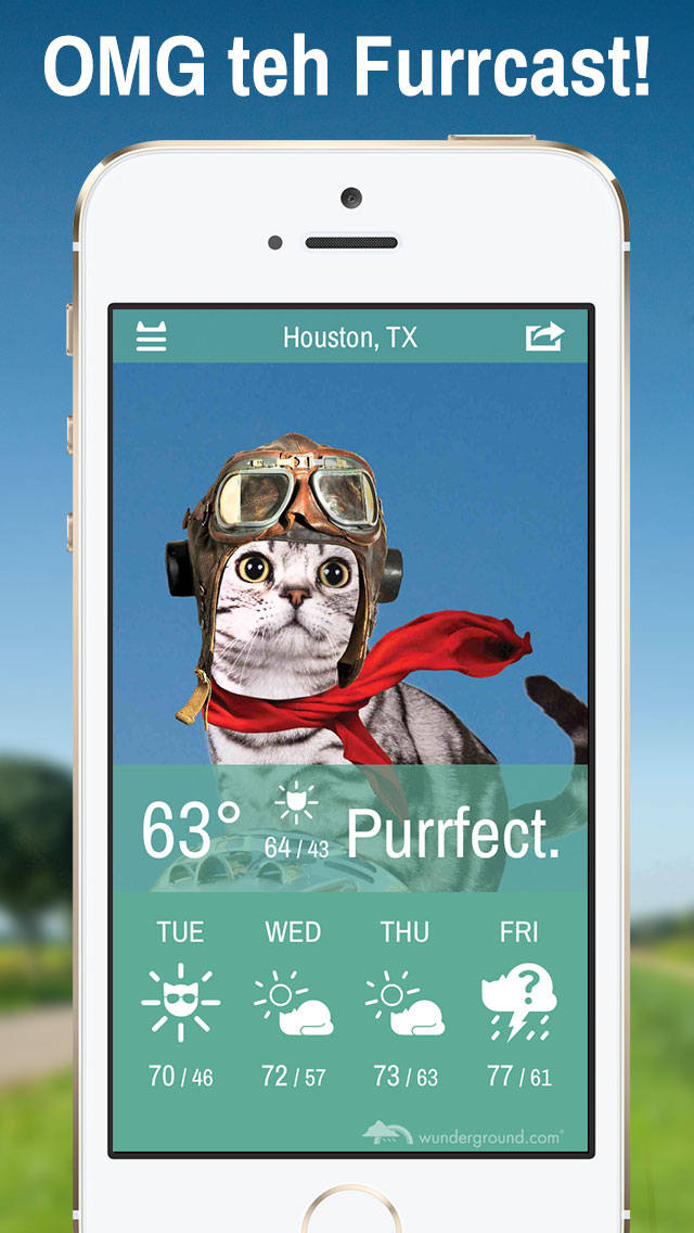 weather whiskers ios app